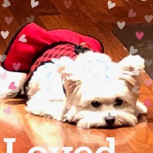 Meet your Posher, Caroline